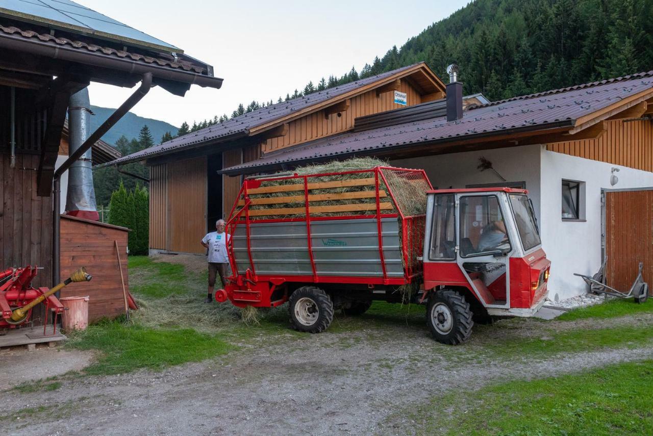Ottohof - Feldblick Daire Colle Isarco Dış mekan fotoğraf